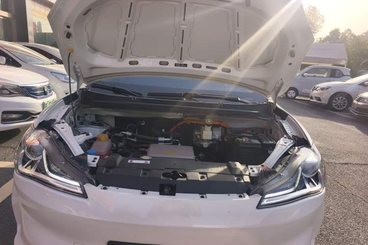 Used NETA V 2021 Long-Range Entertainment Edition Upgrade Model