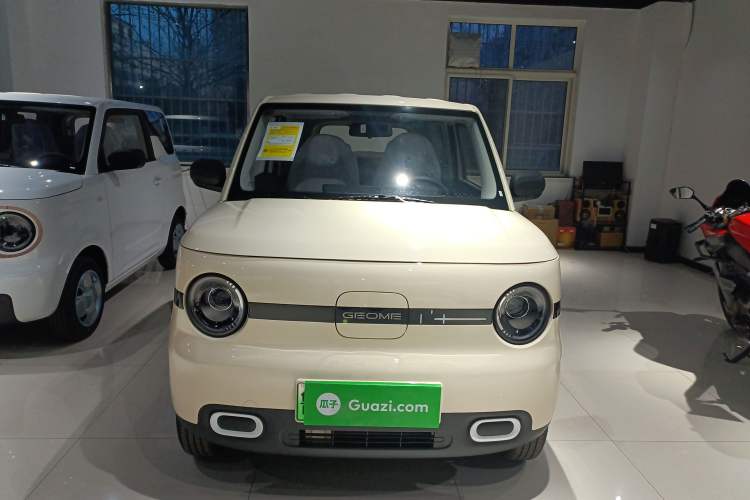 Used  Panda 2025 210 km – Yuanqi Bear