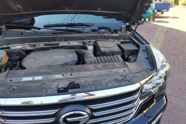 Used GAC Trumpchi GS8 2017 320T Four-Wheel Drive Luxury Smart Connectivity Version (7 Seats)
