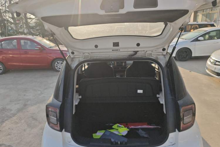 Used SOL E10X 2022 Flower Fairy Design Dandelion