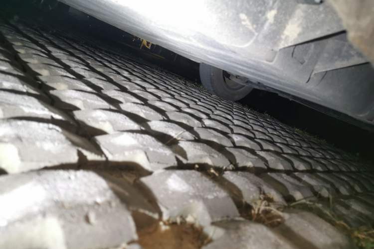 Used  Panda 2023 Panda Mini 200km Endurance Bear
