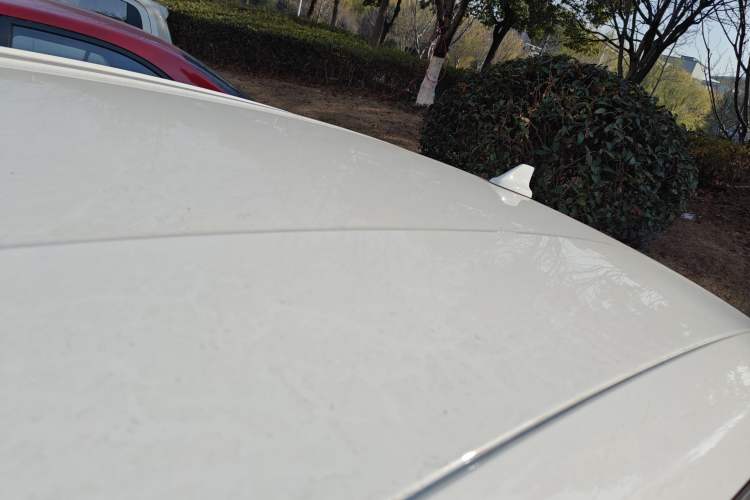 Used Ford Focus 2019 Sedan 1.5L Automatic FENGYUE Model China V Standard
