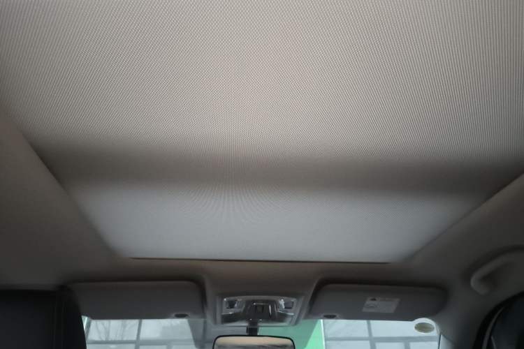 Used Venucia T60EV 2020 AI Enjoyment Model
