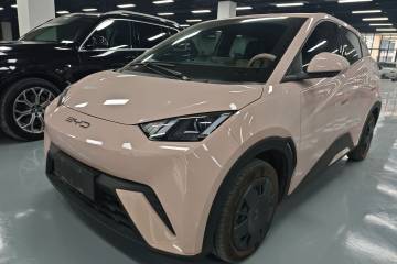 Used BYD Seagull 2023 Active Version