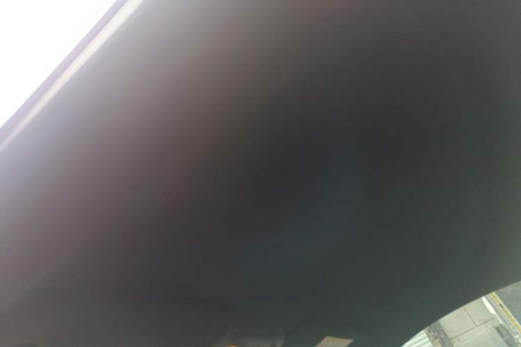 Used Ford Mustang 2019 2.3L EcoBoost Performance Enhanced Edition