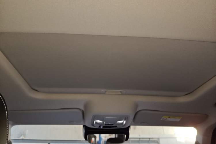 Used Tank 300 2024 2.0T Conqueror
