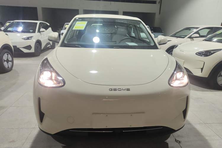 Used  Geome 2025 310km Youth Edition
