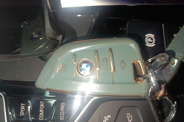 Used BMW 5 Series 2020 530Li Leading Model M Sport Package