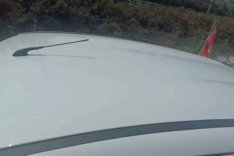 Used JMEV  2024 201km Comfort Version
