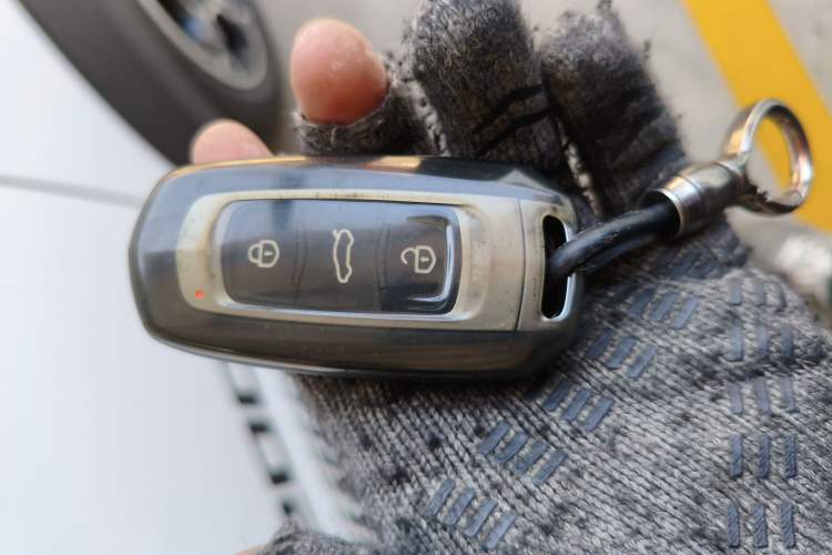 Used  Panda 2025 210km Panda Rider
