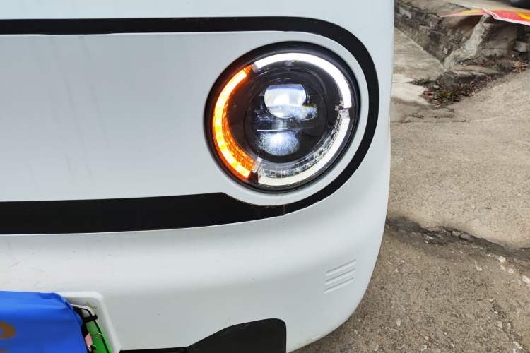 Used  Panda 2024 Panda Mini 200km Endurance Bear
