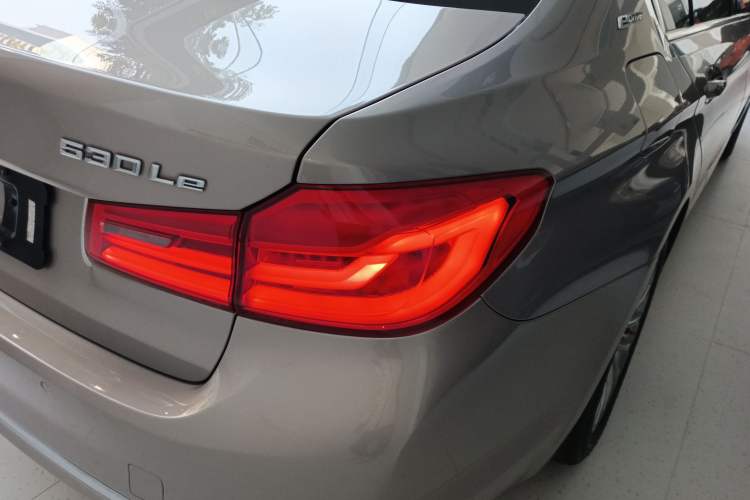 Used BMW 5 Series New Energy 2019 530Le Luxury Package