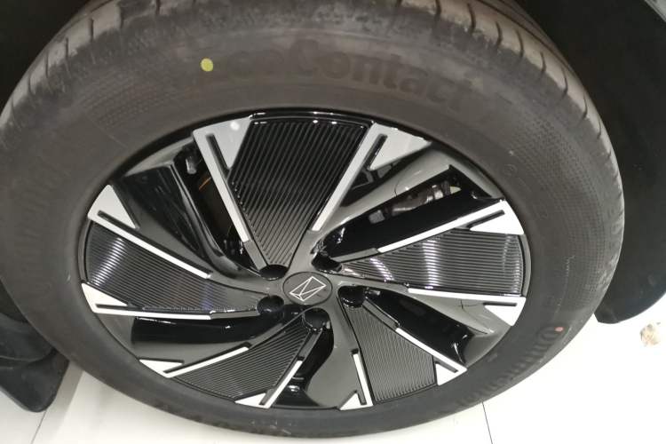 Used  07 2024 Max Extended-Range Edition
