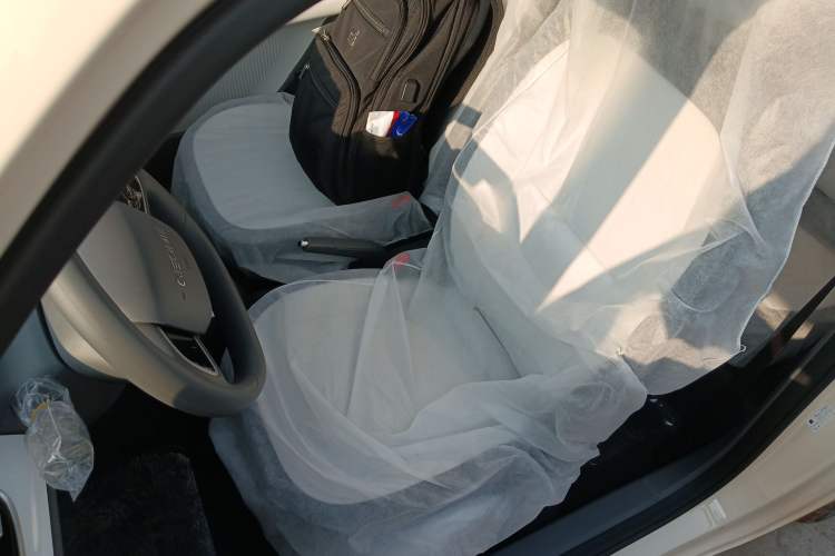 Used  Panda 2025 210 km – Yuanqi Bear
