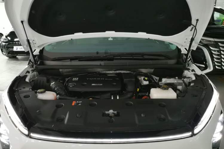 Used Buick GL8 New Energy 2024 Lu Zun Luxury Edition 6-Seater
