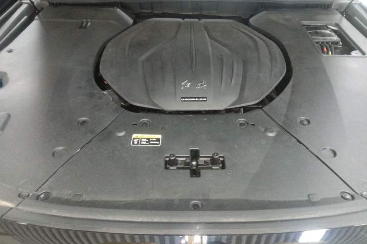 Used Hongqi H9 2024 2.0T Qichang Private Enjoyment Luxury Edition