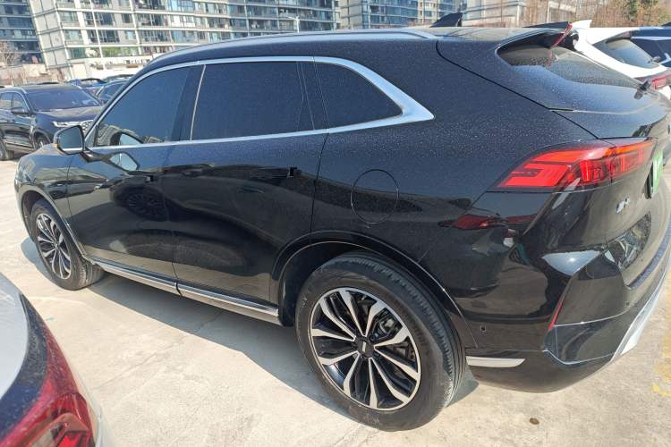 Used Wey Mocha 2021 2.0T Two-Wheel-Drive Ultra-Strong Version