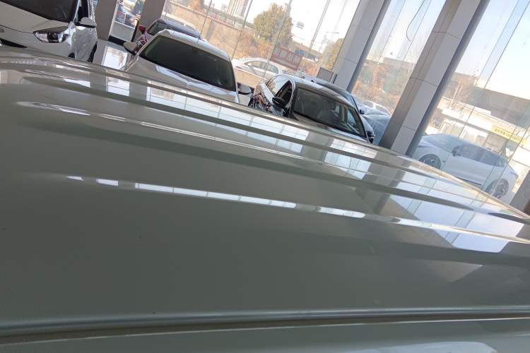 Used  Panda 2023 Panda Mini 200km Endurance Bear
