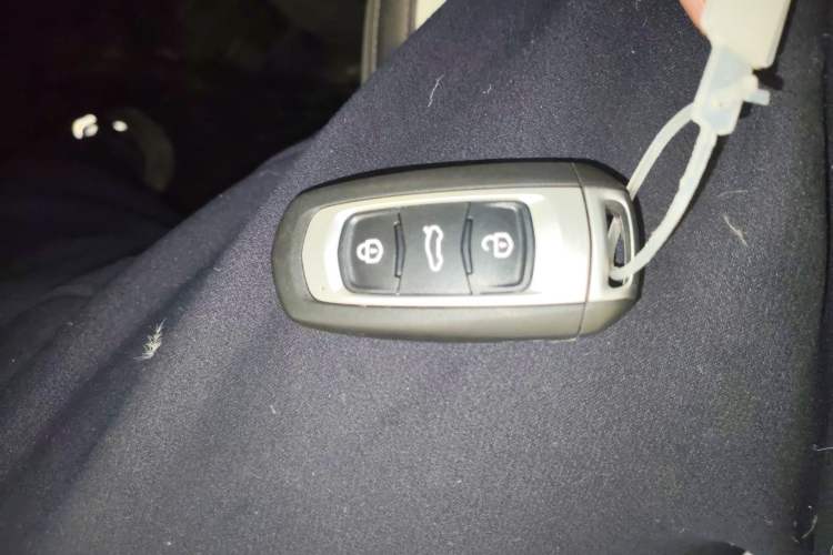 Used  Panda 2024 200km Panda Kart
