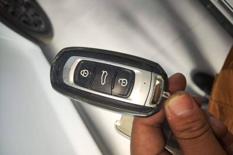 Used  Panda 2024 200km Panda Rider