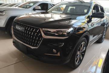 Used Haval H6 2023 National Trend Edition 1.5T Automatic Champion Version