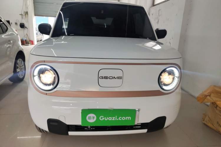 Used  Panda 2025 210 km – Yuanqi Bear