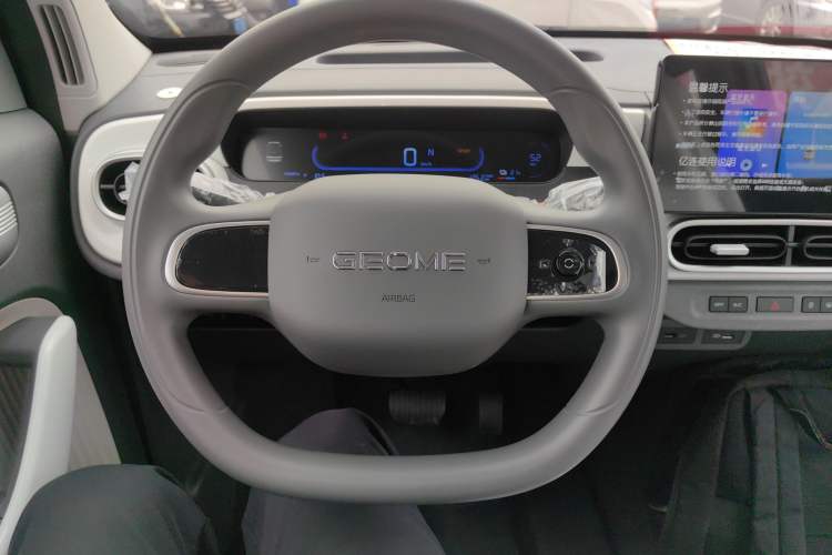 Used  Panda 2025 210 km – Yuanqi Bear
