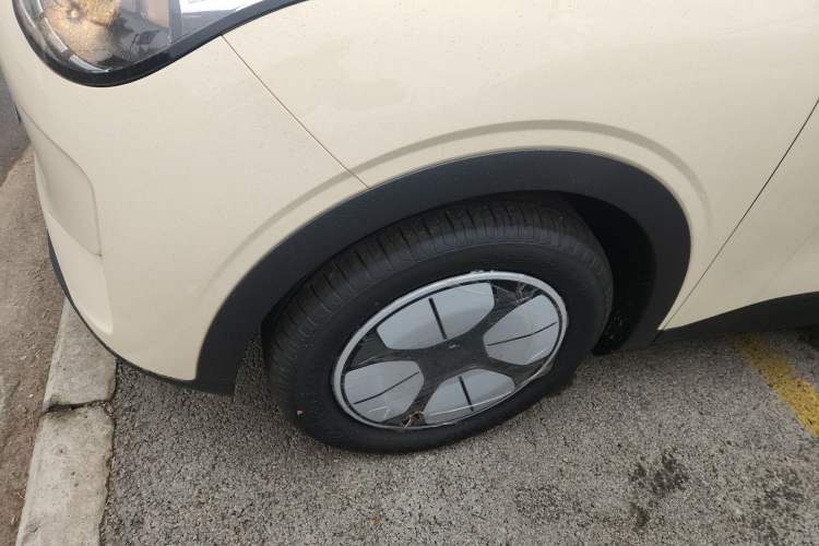 Used  Geome 2025 310km Youth Edition
