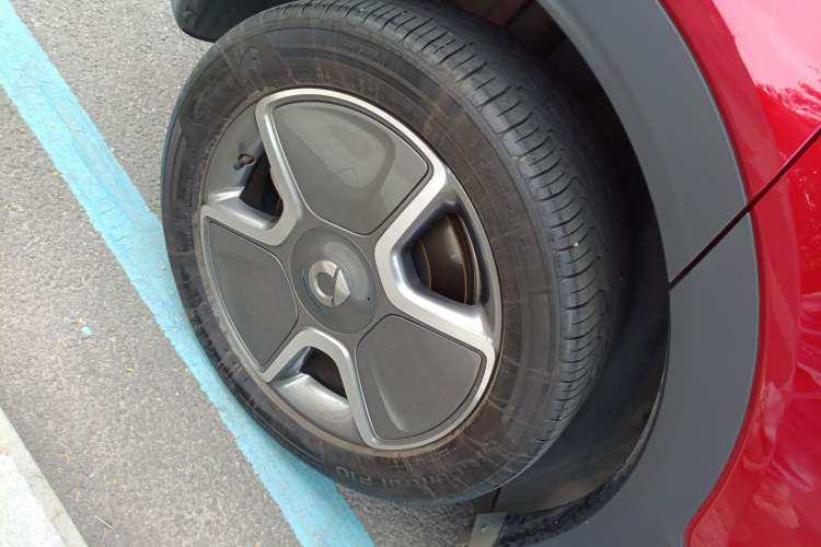 Used  #1 2023 Pro Edition
