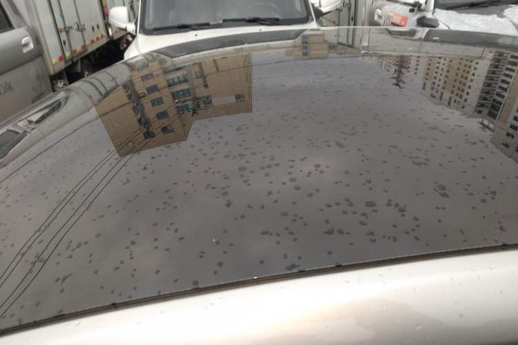 Used XPeng P7 2021 480N
