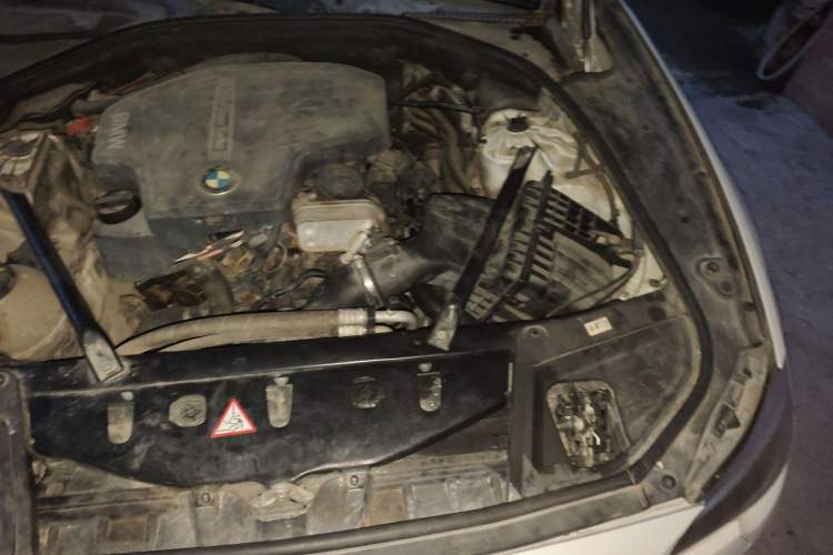 Used BMW 5 Series 2017 525Li Leading Model