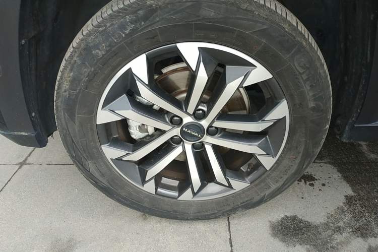 Used Haval  2023 2.0T Two-Wheel Drive Chaoye Version Plus
