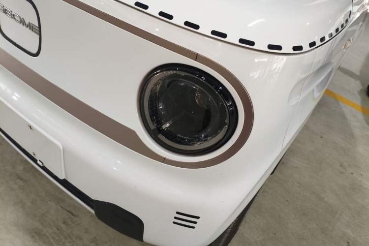 Used  Panda 2023 Panda Mini 200km Endurance Bear
