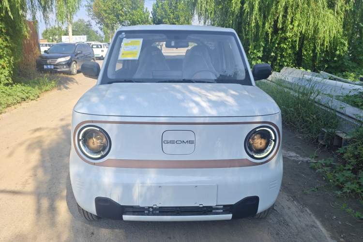 Used  Panda 2024 Panda Mini 200km Endurance Bear
