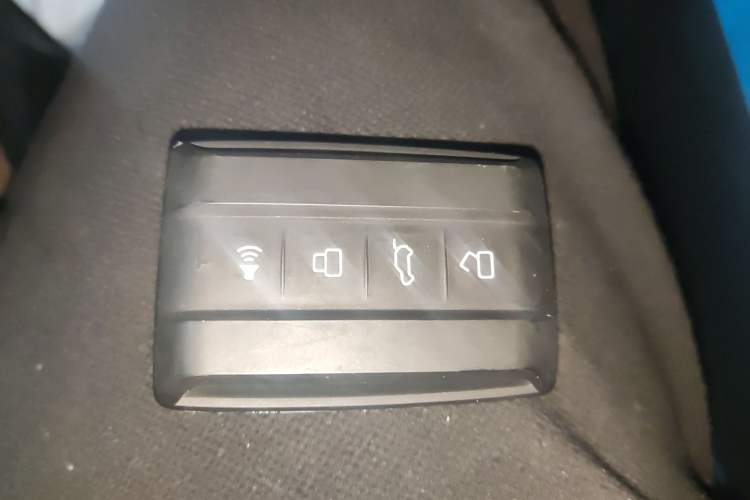 Used  Tank 300 2023 2.0T Cyber Knight
