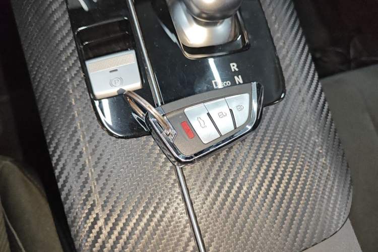 Used Venucia Venucia D60EV 2023 PLUS Comfort Edition RJ Model
