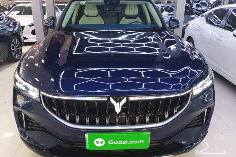 Used VOYAH FREE 2021 Four-Wheel Drive Standard Range-Extended Exclusive Luxury Package
