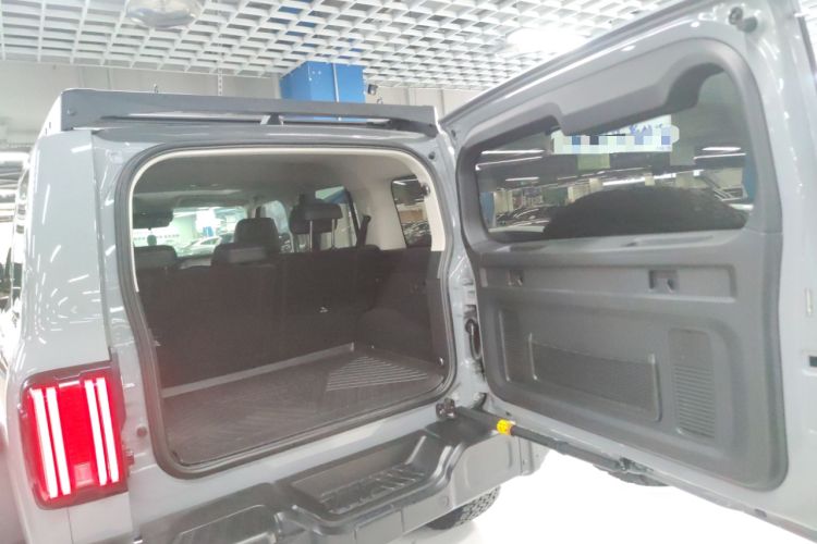 Used Tank 300 2021 2.0T Wind & Forest Iron Rider
