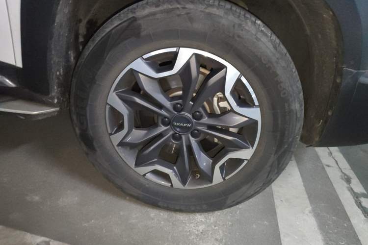 Used Haval DARGO 2021 2.0T DCT 4x4 Chinese Rural Dog Edition
