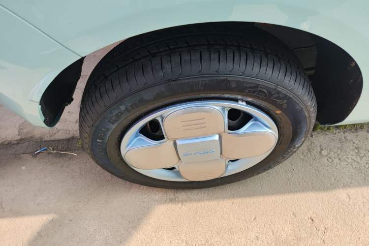 Used  Panda 2024 Panda Mini 200km Endurance Bear
