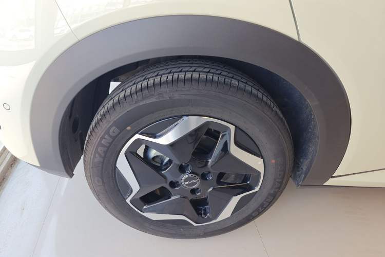 Used BYD Dolphin 2025 Smart Drive Version 420 km Freedom Edition