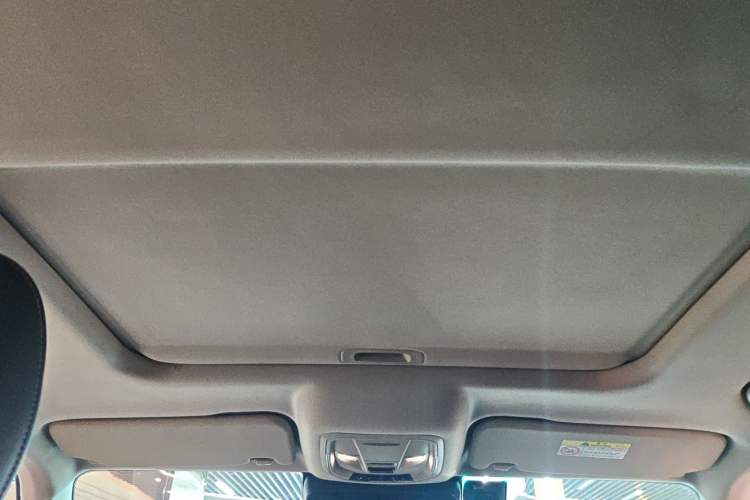 Used Tank 300 2021 Off-Road Edition 2.0T Conqueror
