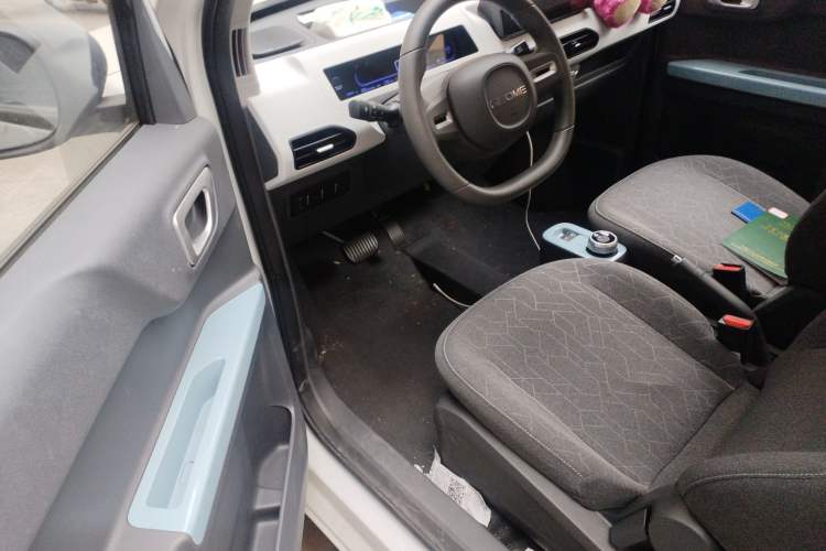 Used  Panda 2024 Panda Mini 200km Endurance Bear
