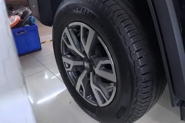 Used Tank 300 2024 2.0T Crosser
