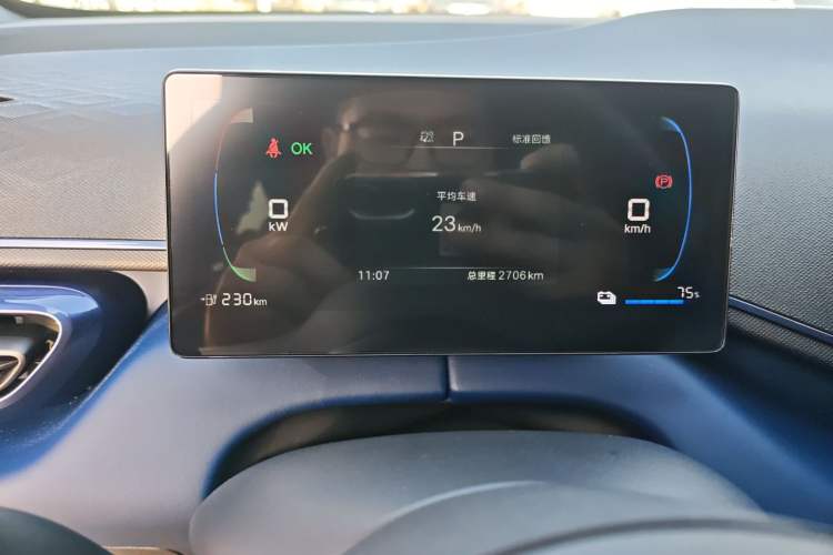 Used BYD Seagull 2025 Intelligent Driving Version 305 km Dynamic Edition
