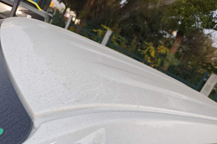 Used  Panda 2024 Panda Mini 200km Endurance Bear
