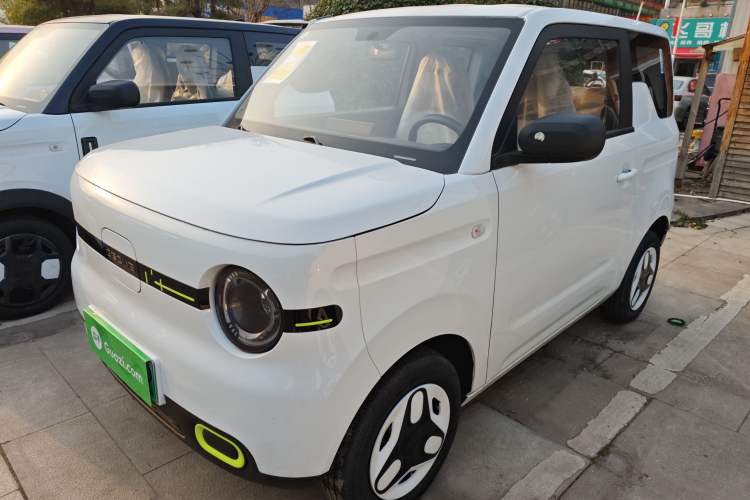 Used  Panda 2025 210 km – Yuanqi Bear
