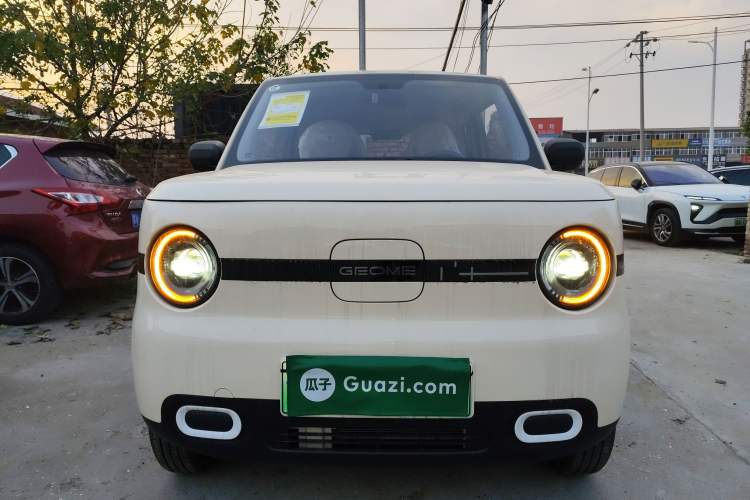 Used  Panda 2025 210 km – Yuanqi Bear
