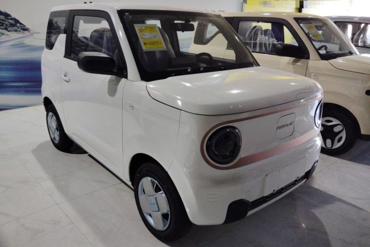 Used  Panda 2024 Panda Mini 200km Endurance Bear
