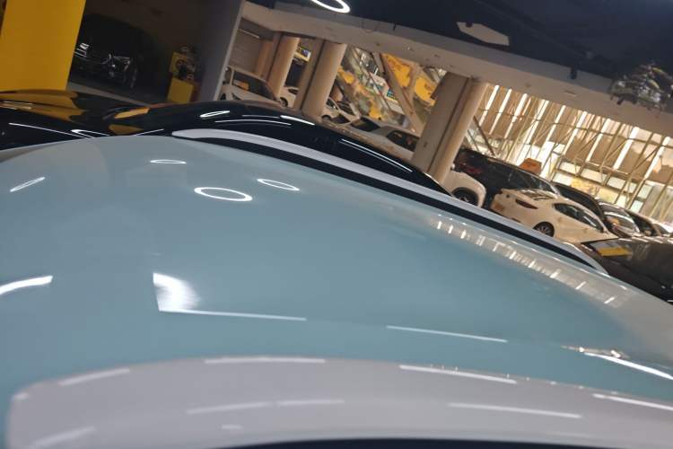 Used Dongfeng NAMMI EX1 2023 PRO Light Wind Edition Lightning Model
